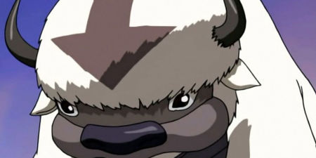 Avatar of Appa