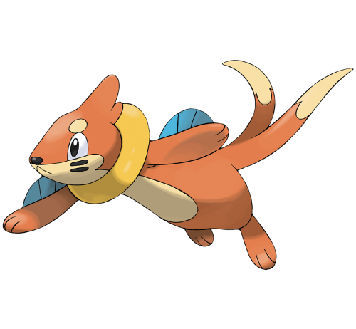 Buizel