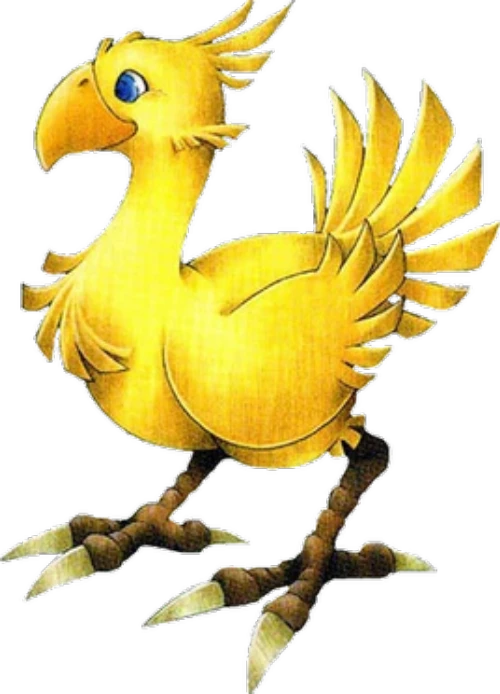 Avatar of Chocobo