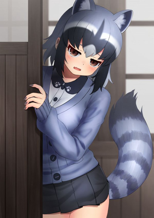 Avatar of Common Raccoon