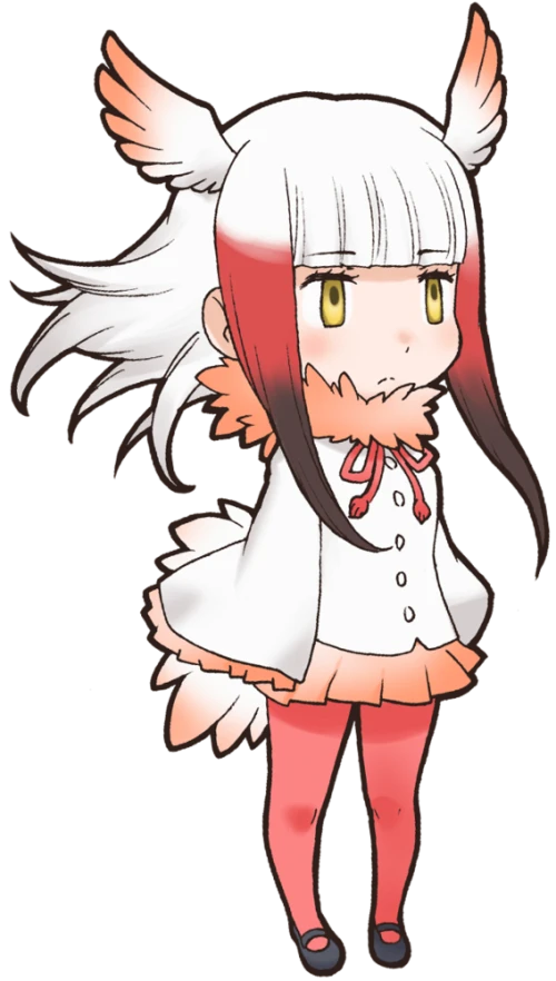 Japanese Crested Ibis