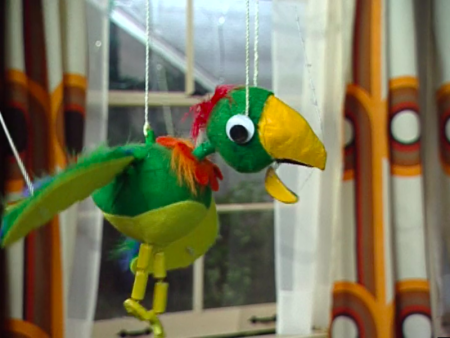 Potty The Parrot