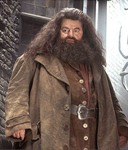 Avatar of Rubeus Hagrid