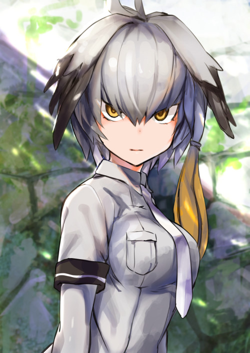 Avatar of Shoebill