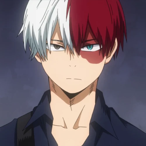 Avatar of Todoroki Shouto