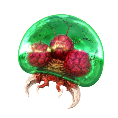 Metroid